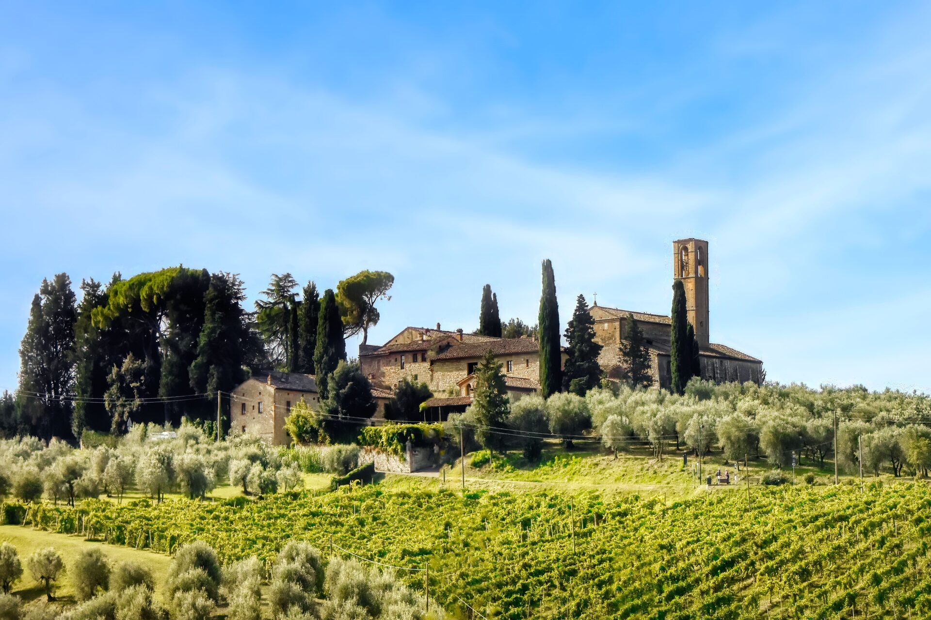 Borgo toscano tra vigne e uliveti